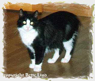 Christiania's Kristina