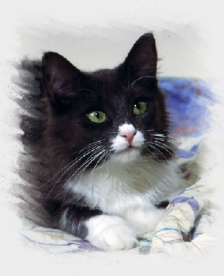 Louise im November 2002, als ihre Babies 4 Monate alt waren