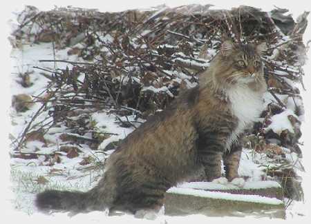 Lucky im Dezember 2002