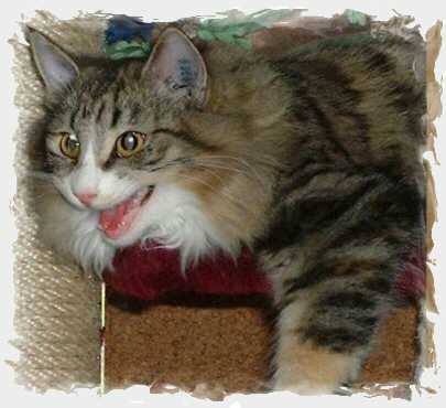 Im Alter von 6 Monaten