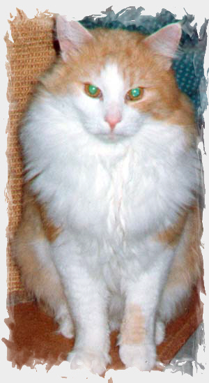 Ratchasima's Red Devil