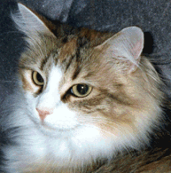 Kianda's Special Patchwork